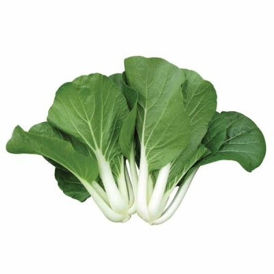 PAK CHOY SUSU/KG  RM15 /kg