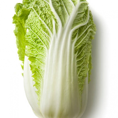 GH-ORG CHINESE CABBAGE  RM16 /kg